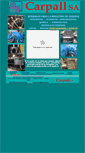 Mobile Screenshot of carpallsa.com.ar